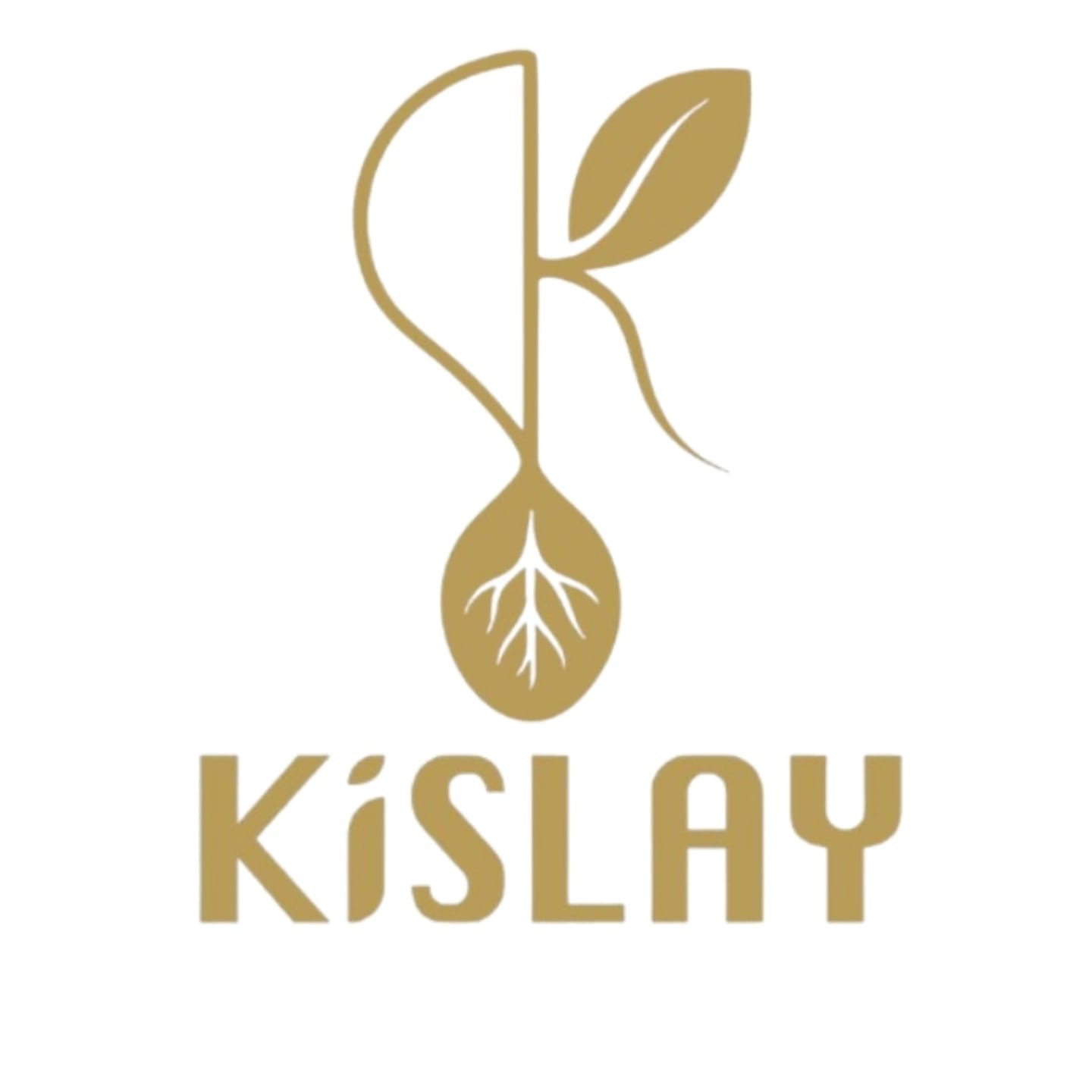 Kislay Logo