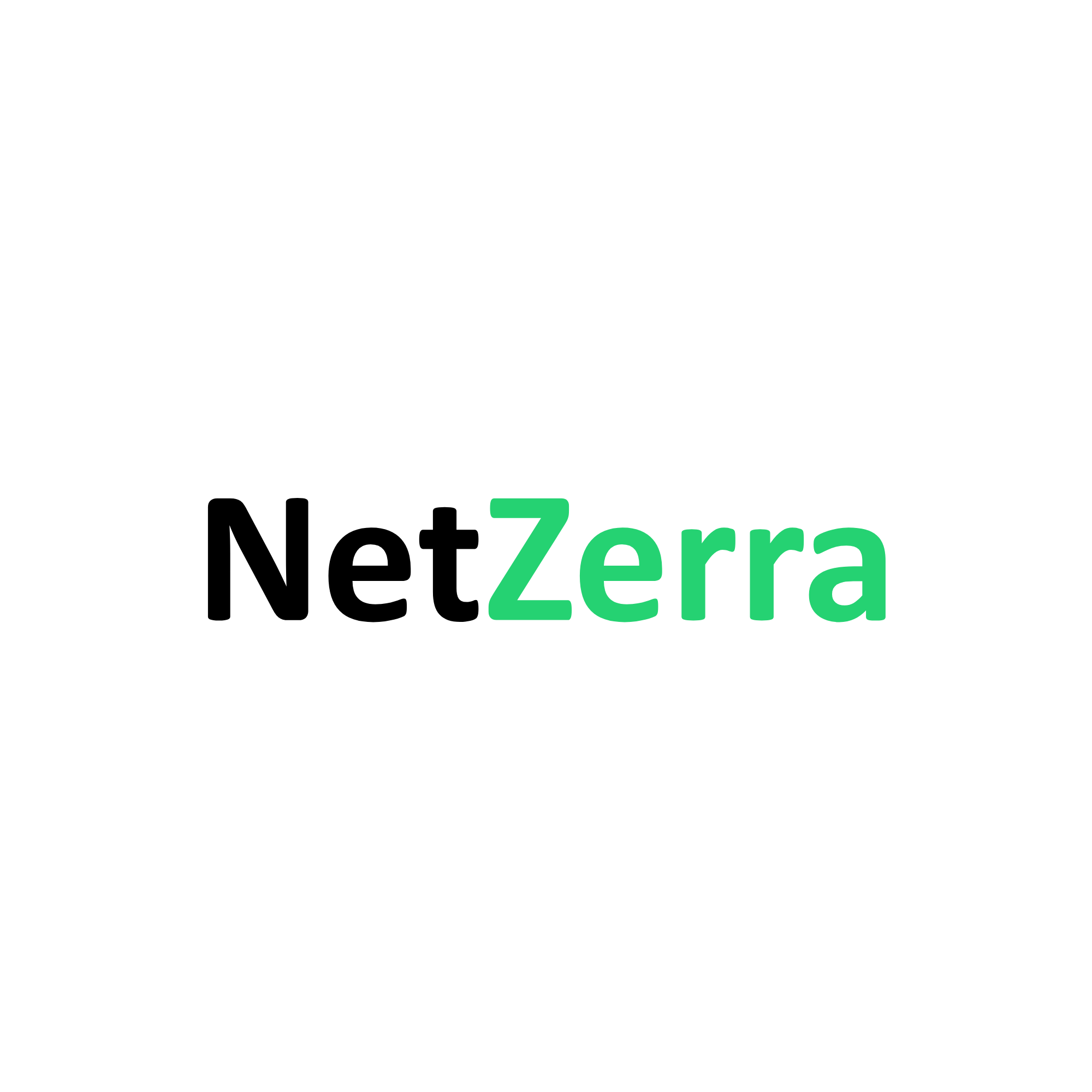 NetZerra Logo